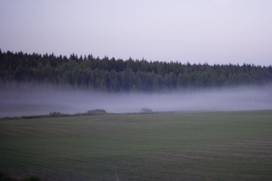 bus_mist_04.jpg