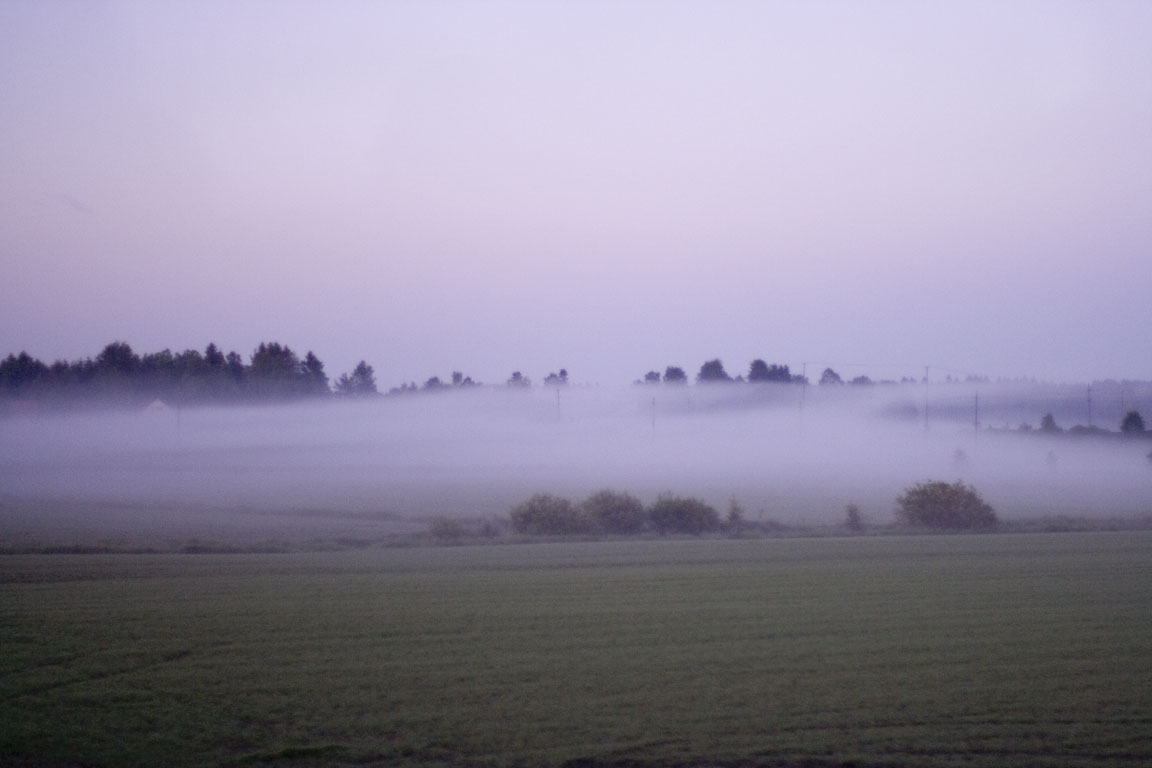 bus_mist_16.jpg