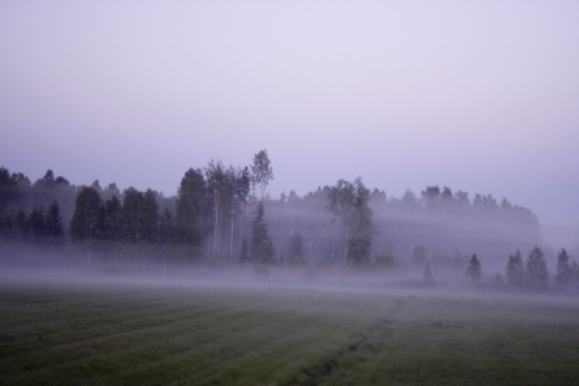 bus_mist_18.jpg